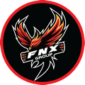 FNX-Group2