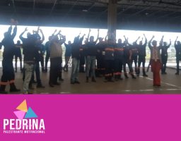 O equilíbrio emocional para a implementação de Boas Práticas na Redução de Avarias e Extravios no TRC